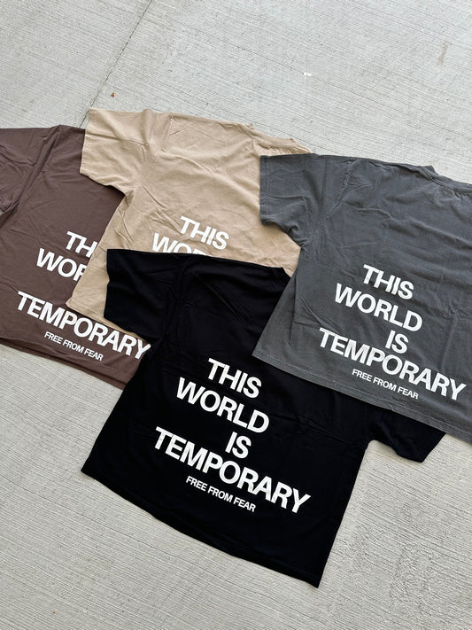 This World Is Temporary Tee
